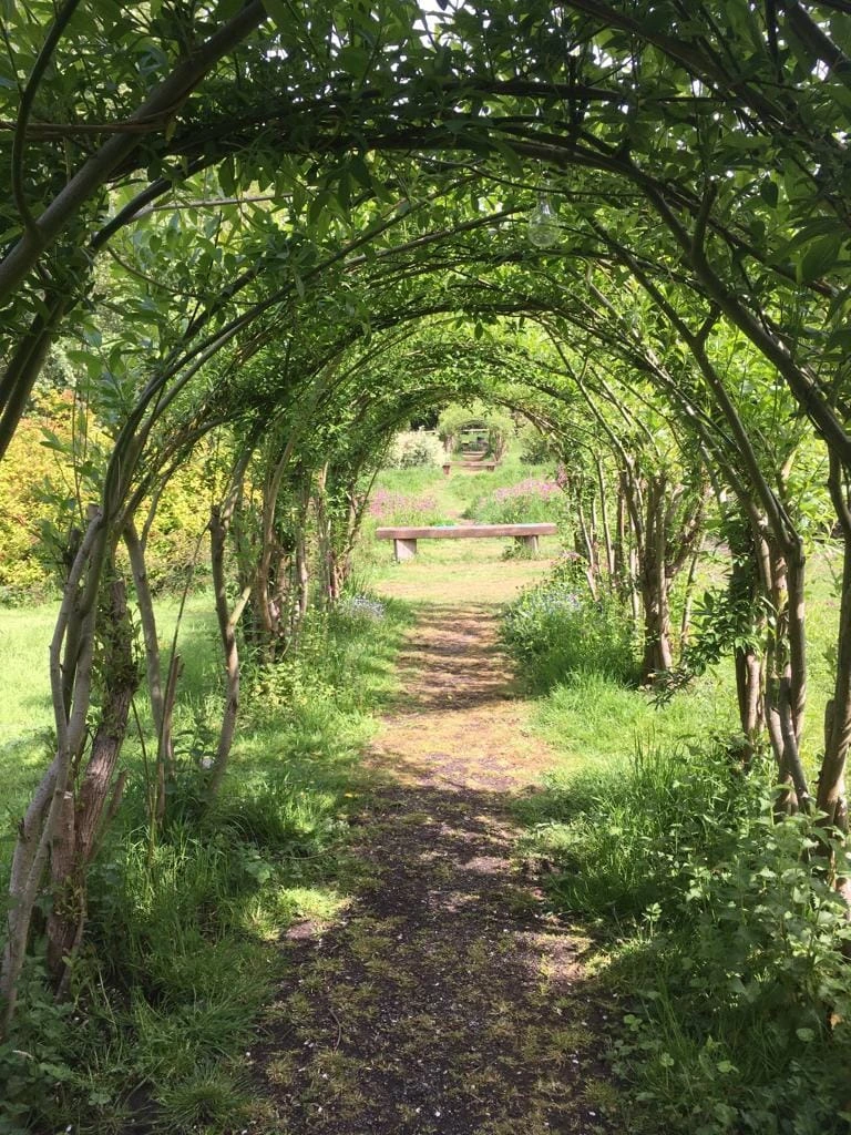 A path beneath a leafy archway in Shenfield’s Butterfly Meadow, with a bench beyond