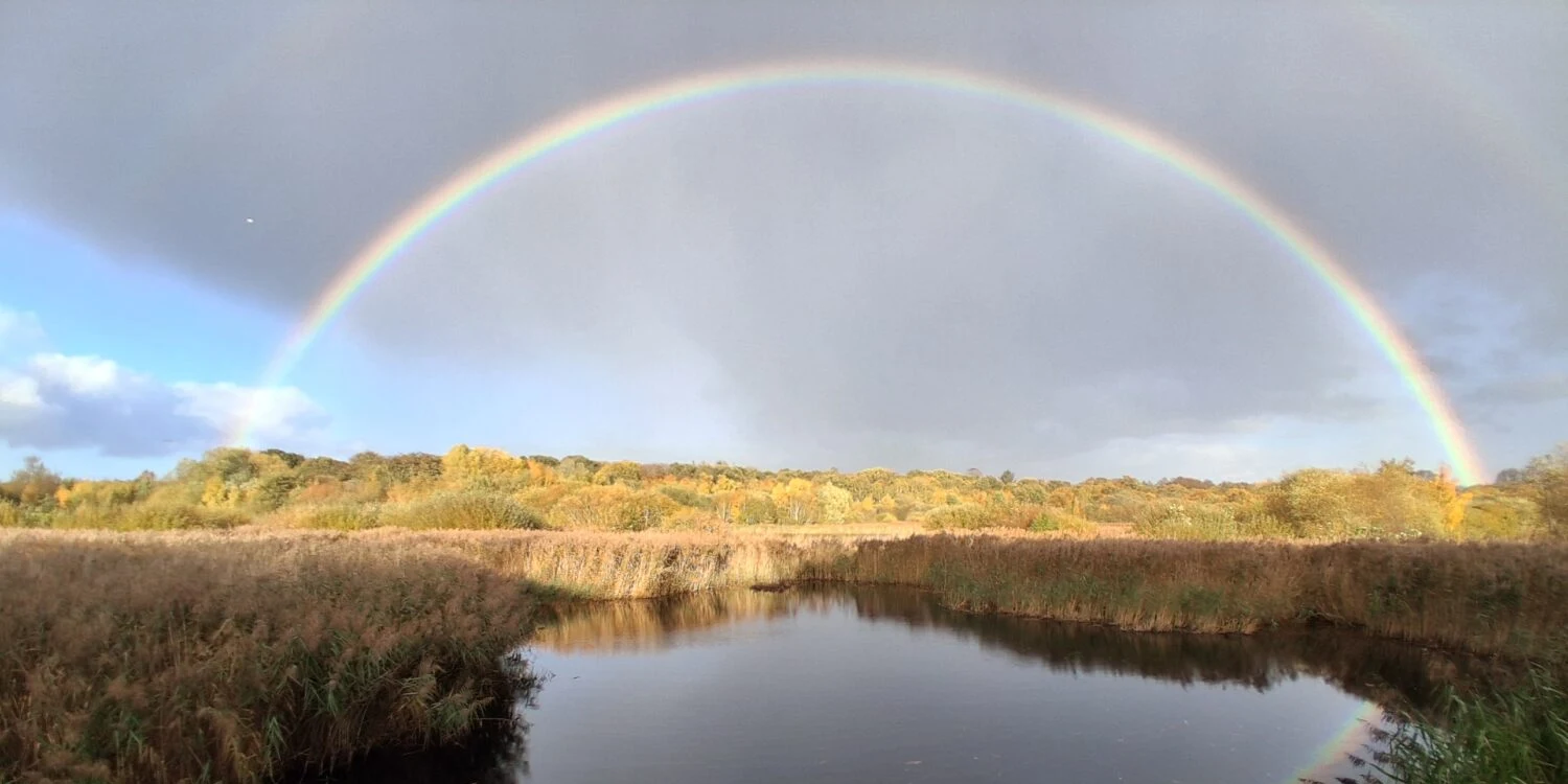 A rainbow arches over a reed-fringed pond at Gosforth Nature Reserve.
