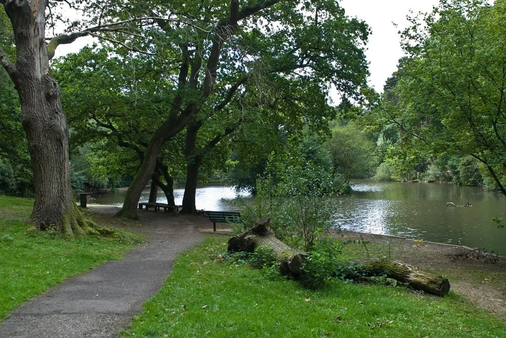 Tree-lined path, benches and water at Hiltingbury Lakes