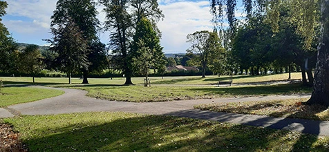 Paths and benches between lawns and mature trees in Hillsborough Park.