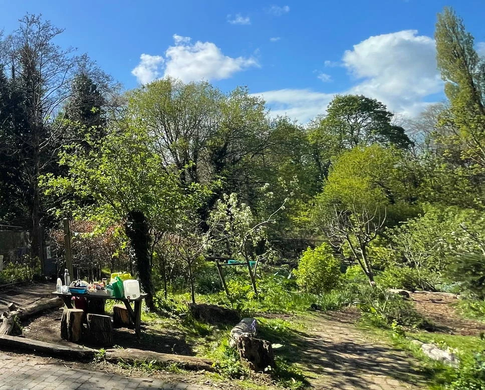 Leafy trees, garden paths and a small outdoor work table at Highbury Orchard.
