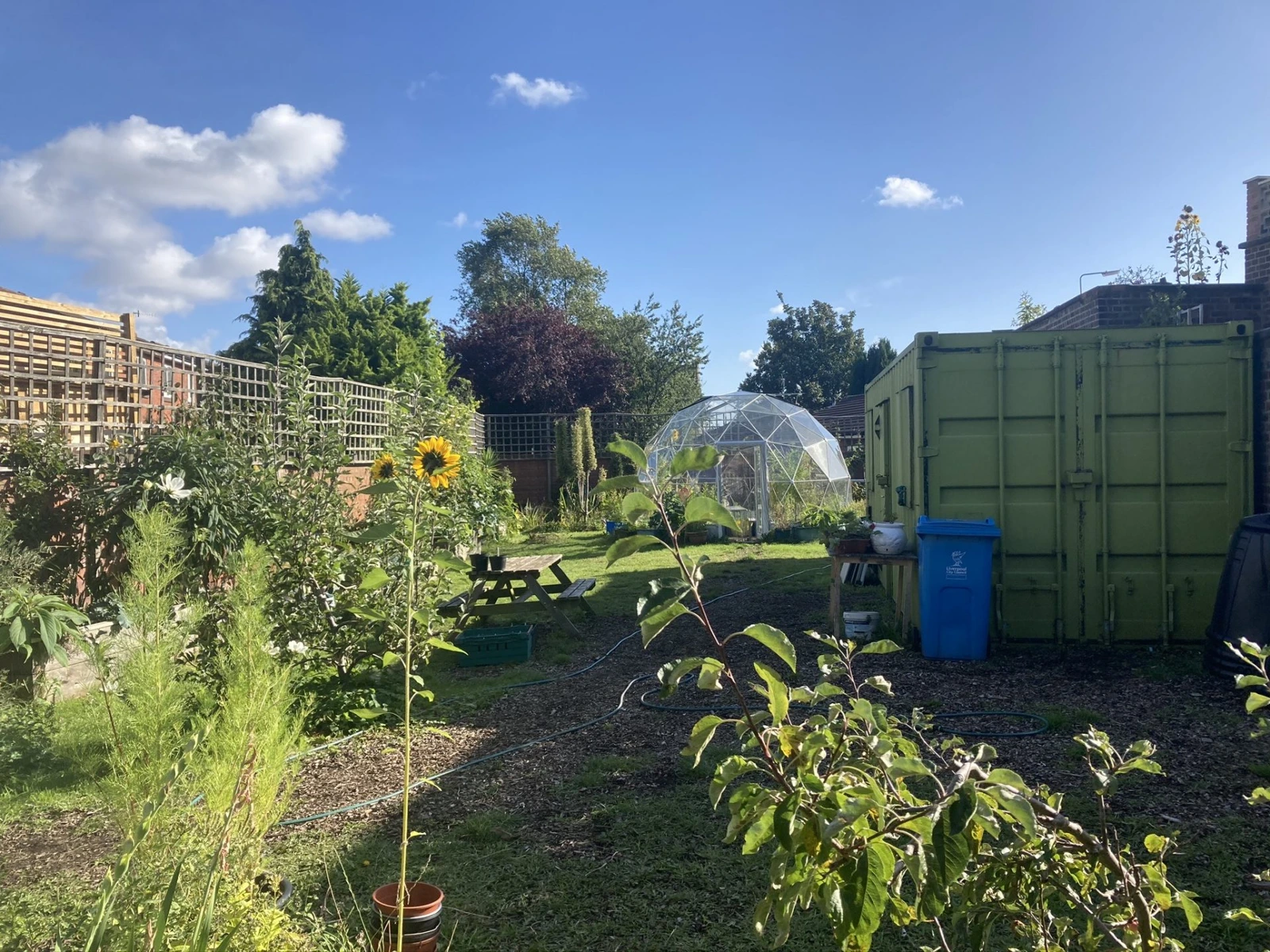 Planting beds, a picnic table and a dome greenhouse in Squash’s Grapes Community Food Garden.