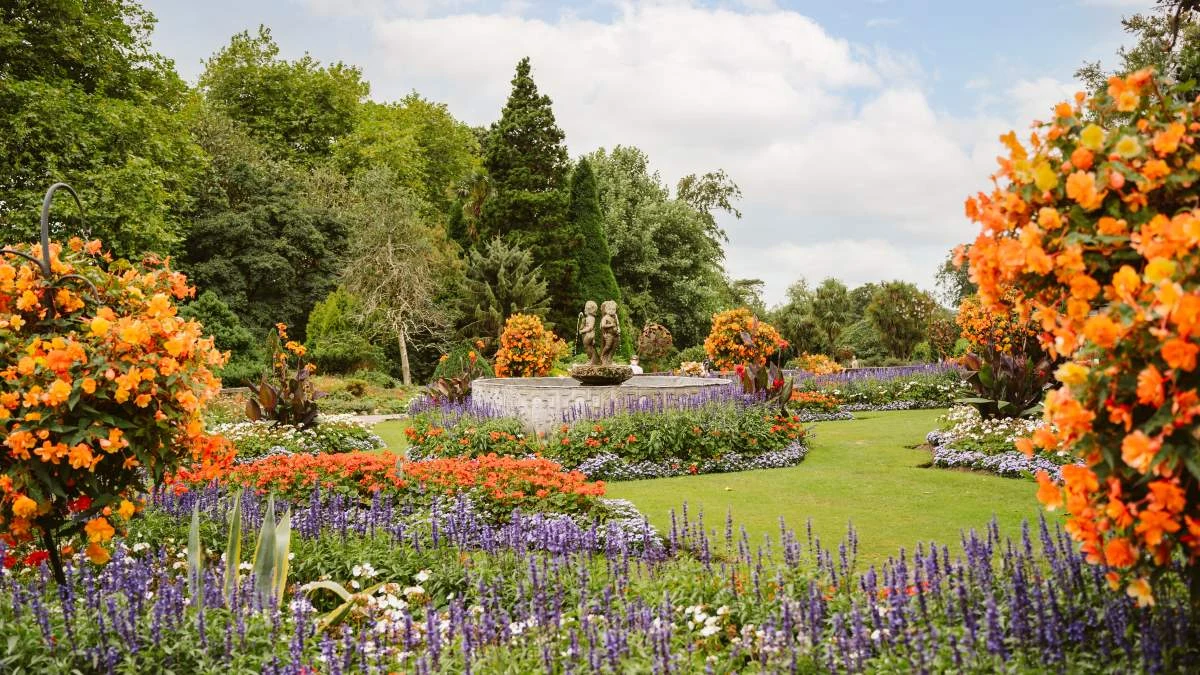 Colourful flower beds around a central fountain in Singleton Park Botanical Gardens