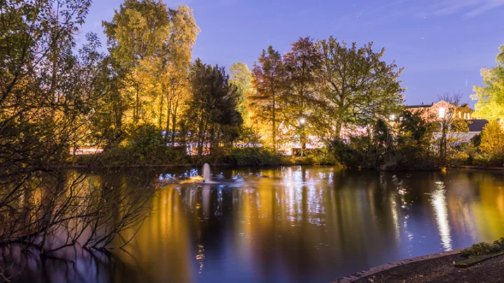 Trees and a fountain reflected in the lake at Bourne Hall Park in evening light