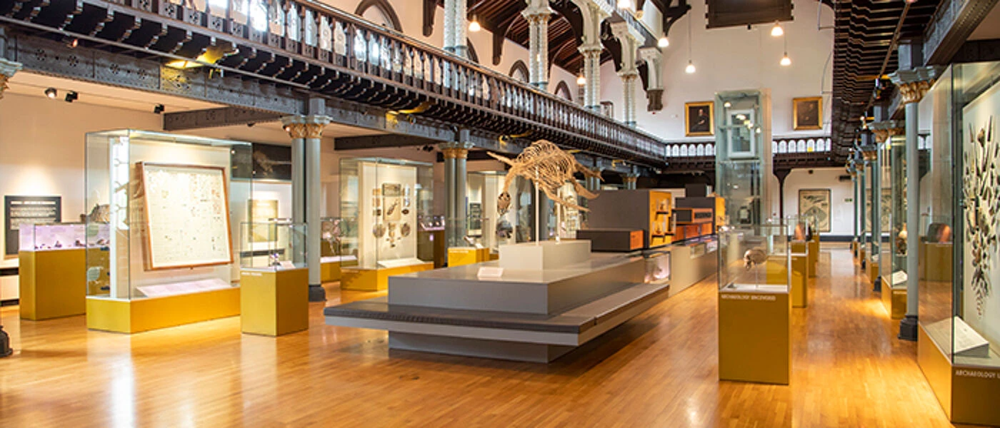 Display cases and a central animal skeleton beneath the balcony in the Hunterian Museum main hall