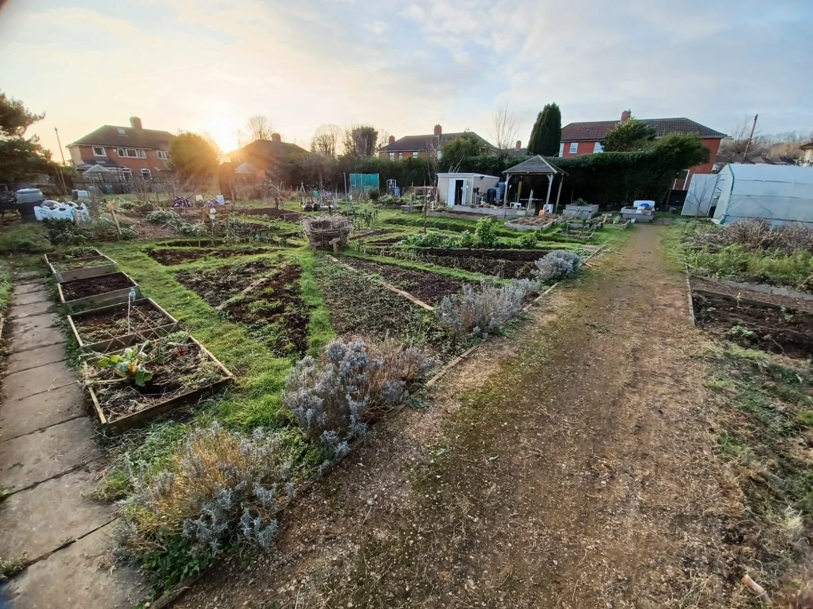 Growing beds, paths and a gazebo in Sea Mills Community Garden at sunset