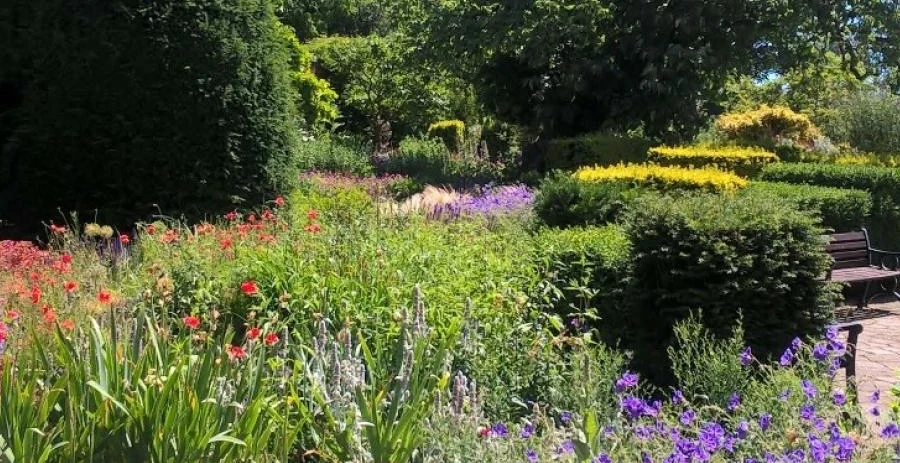 Colourful flower borders, clipped hedges and trees in Brockwell Park’s walled garden