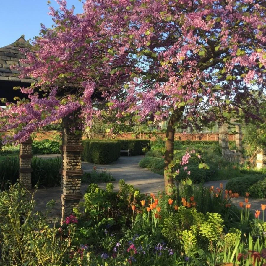Flower garden in Kennington Park, with planted beds and benches