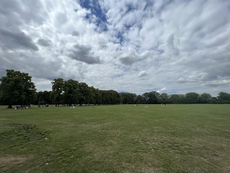 Open grass field and trees in Lloyd Park