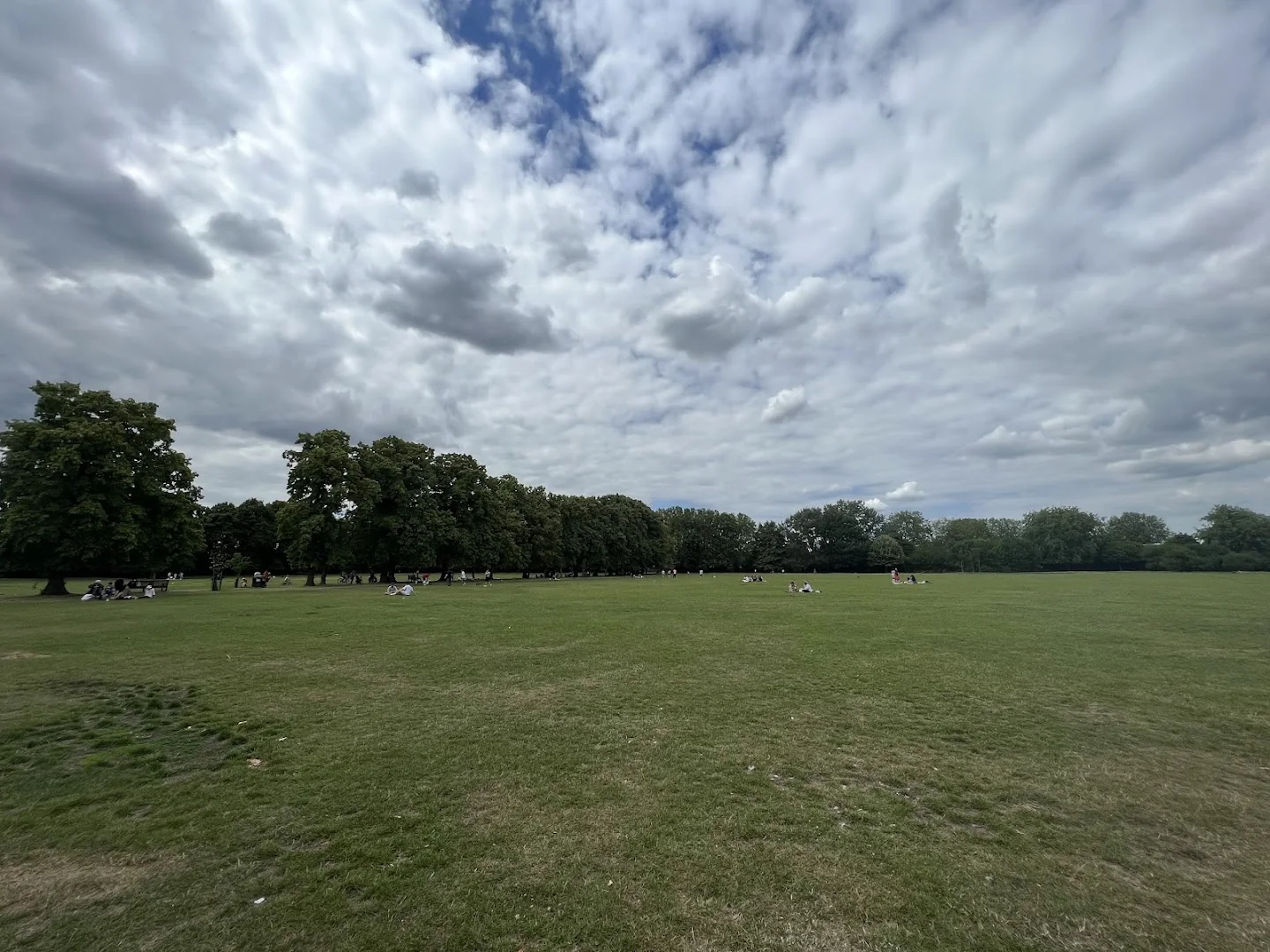 Open grass field and trees in Lloyd Park