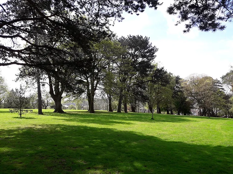 A lawn and mature trees in Thompsons Park.