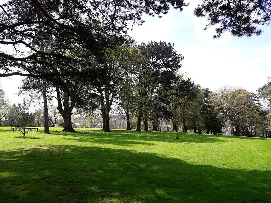 A lawn and mature trees in Thompsons Park.